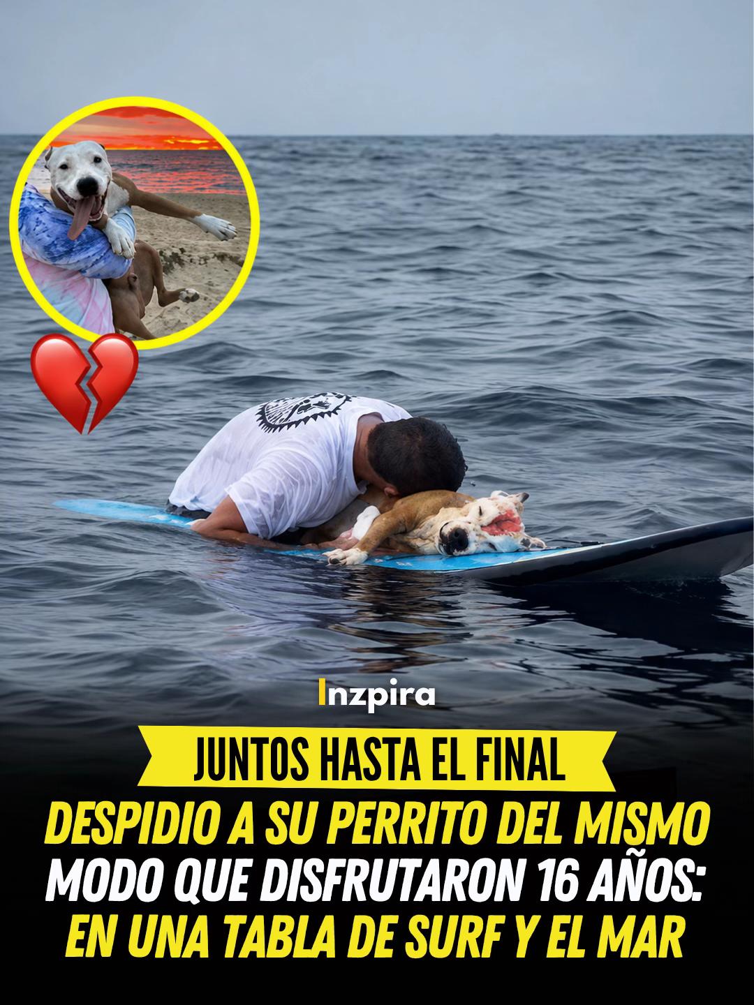 @inzpira.oficial