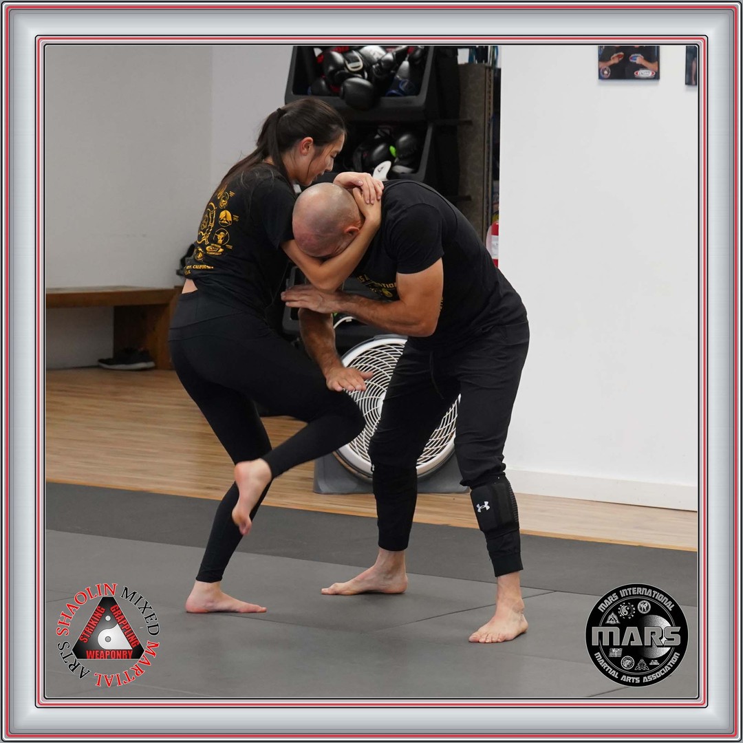 @shaolinmixedmartialarts