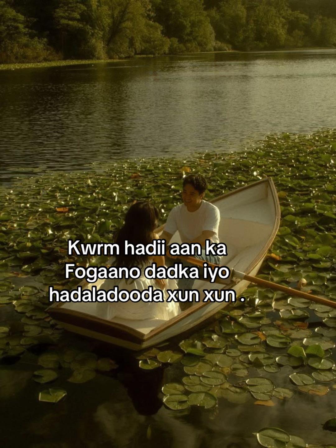 @ahmet