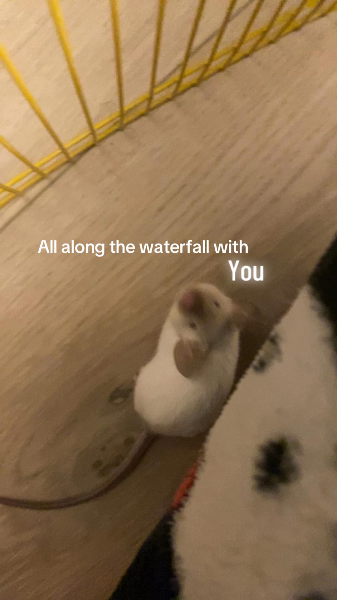 @🤷🏼♀️