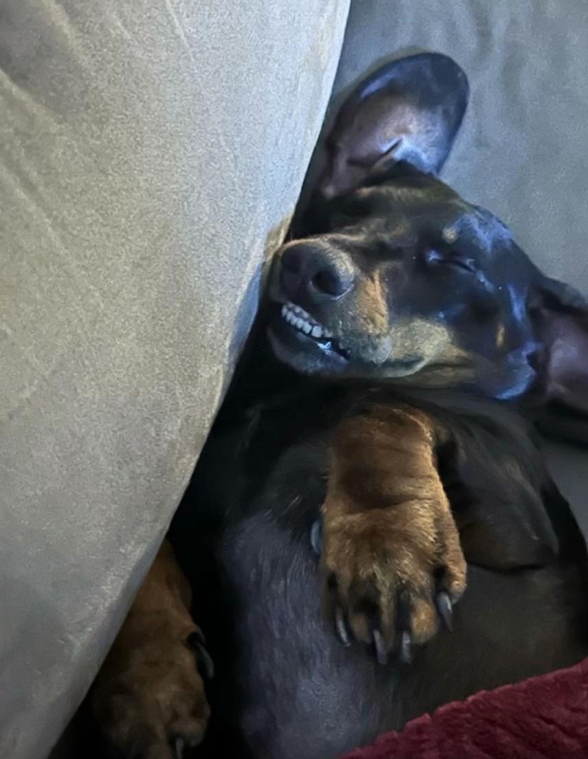@BLOODISSIA