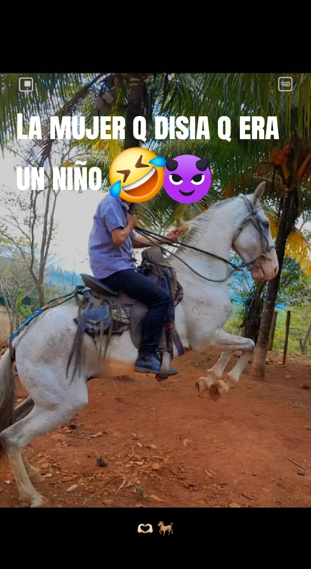 @Kesler Solorzano