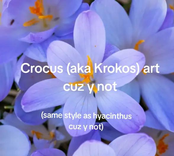 @Ky⋆🏳️&zwj;⚧️&deg;