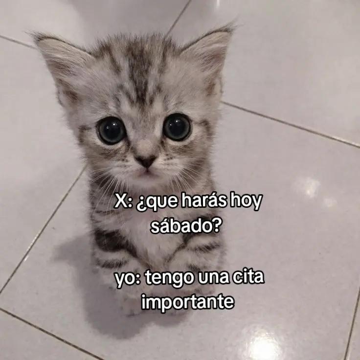 @Dav isa 🖤🥀