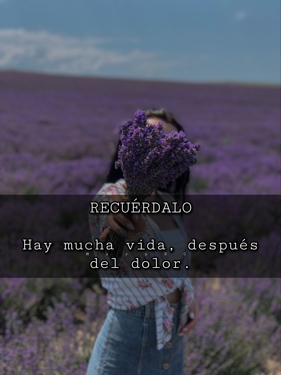 @MarySC