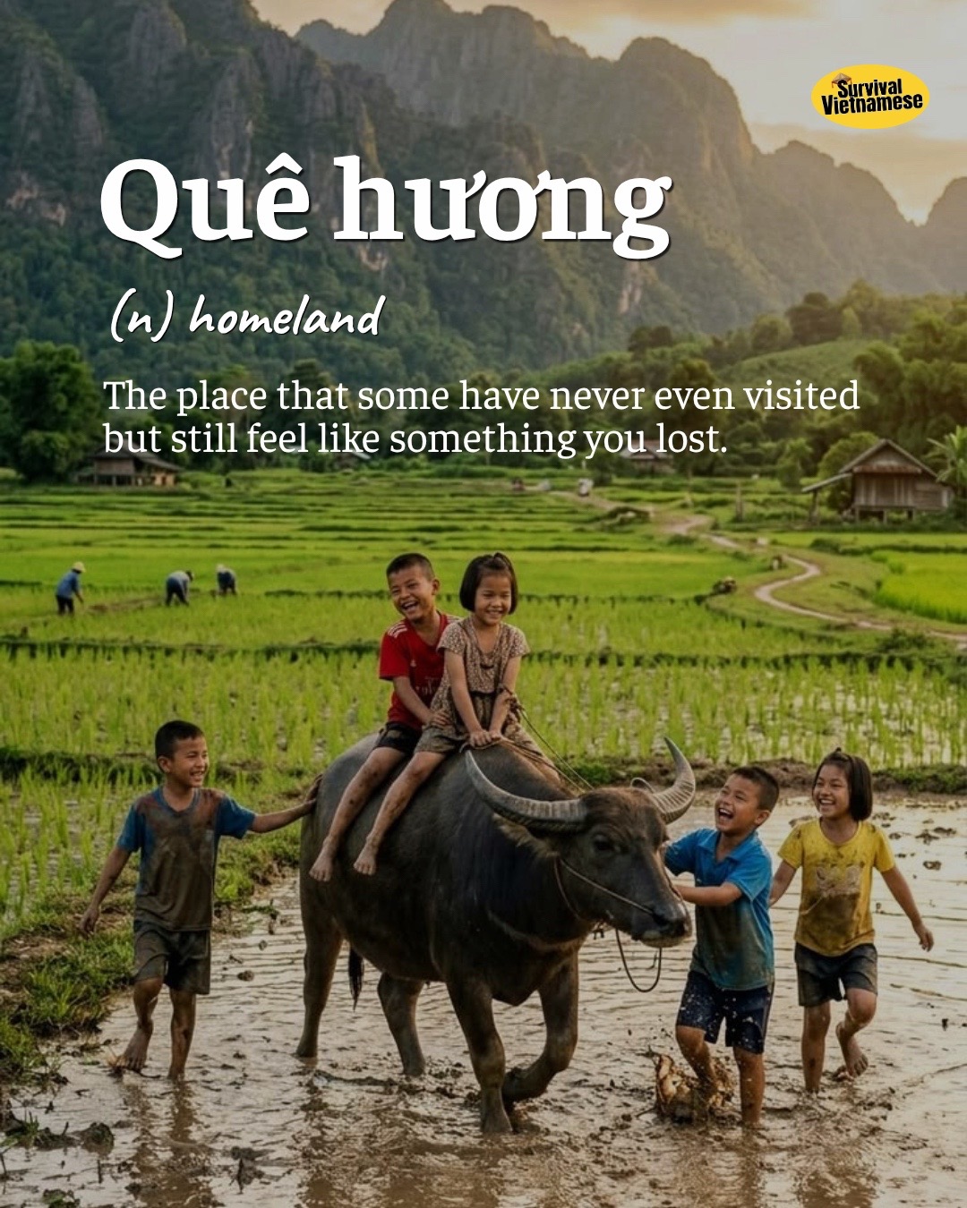 @survival.vietnamese