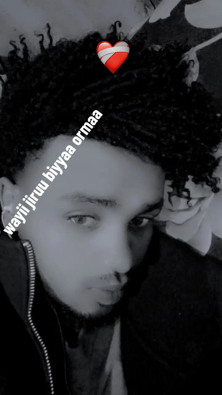 @shuguxii king