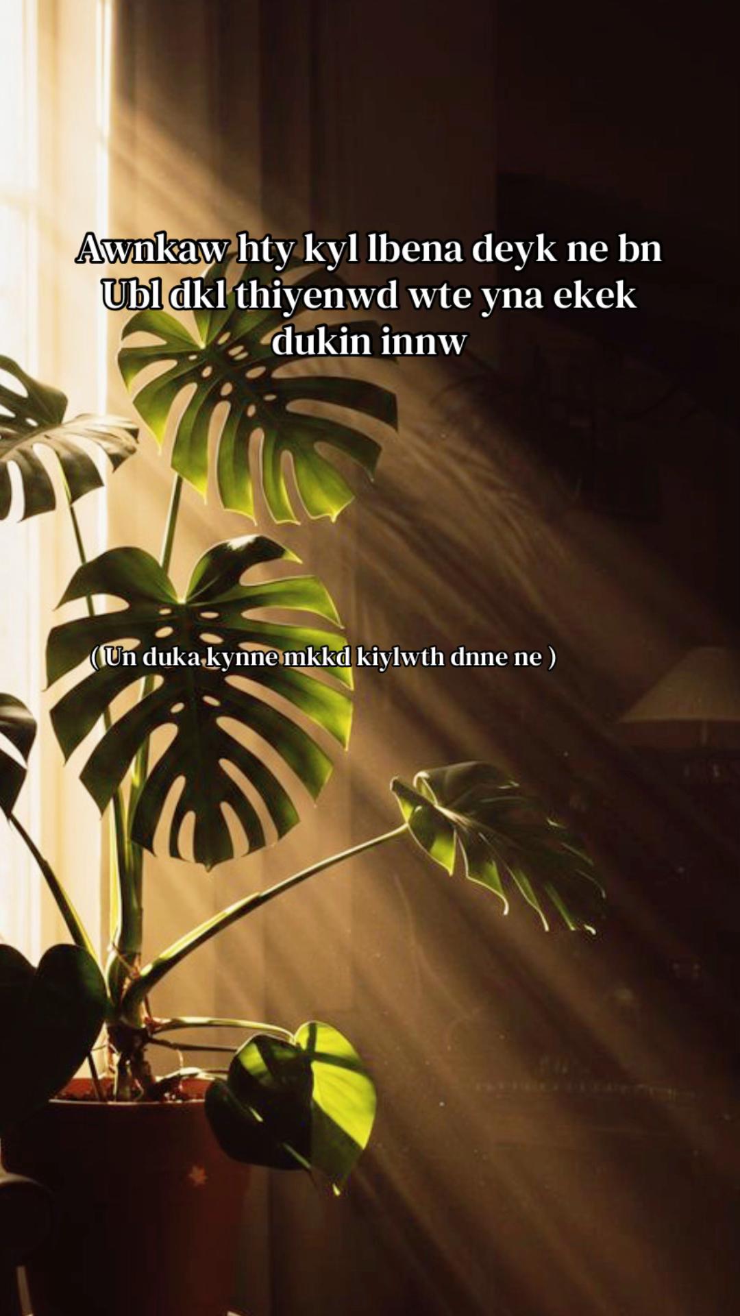@< 𝐂𝐡𝐚𝐦𝐨 ᥫ᭡