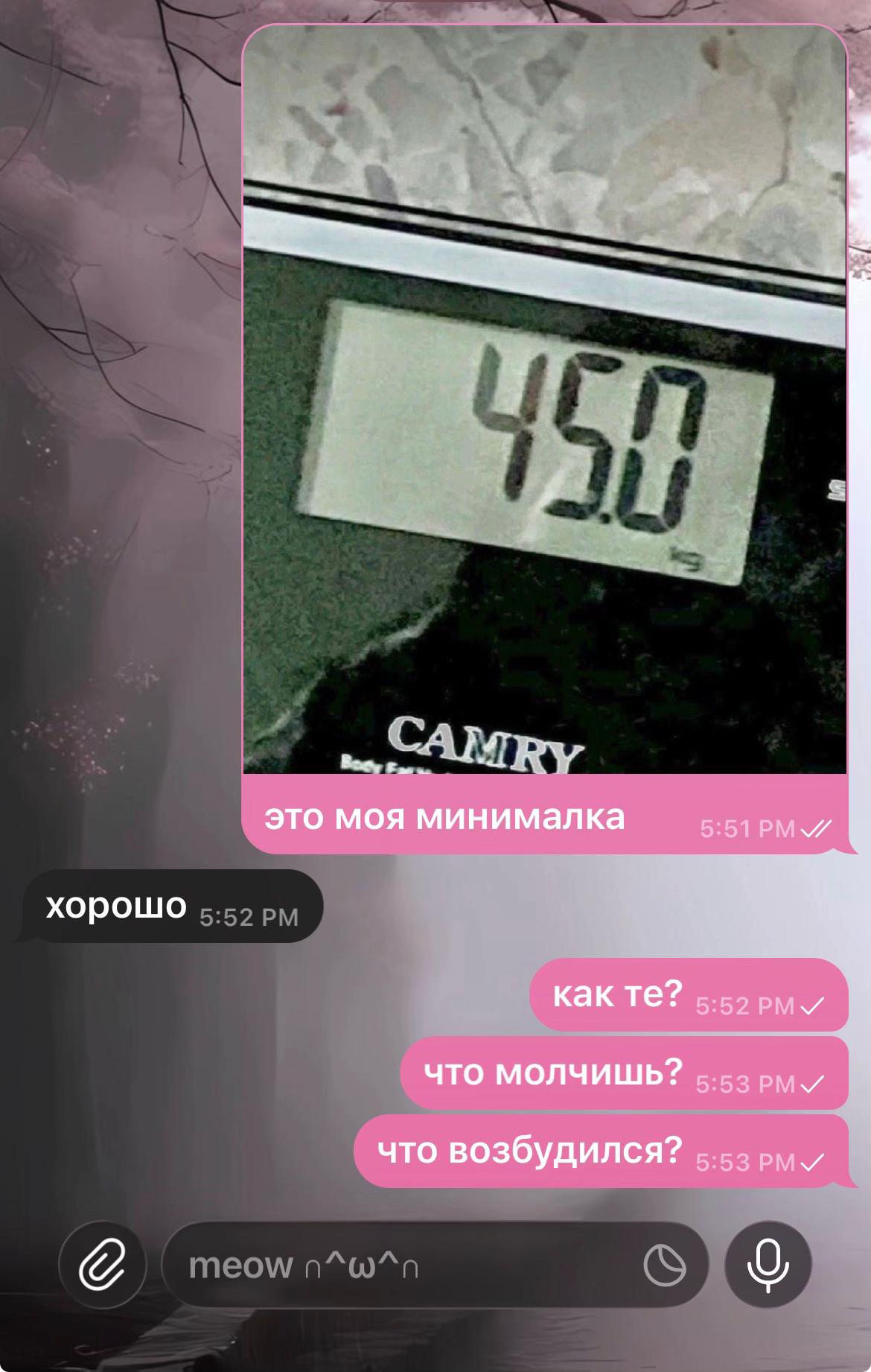 @Лаврова Анна