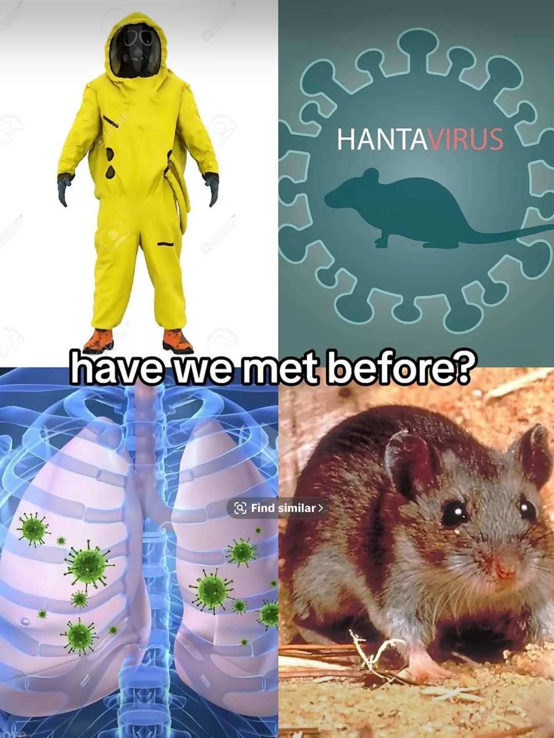 @yazzyreacts0