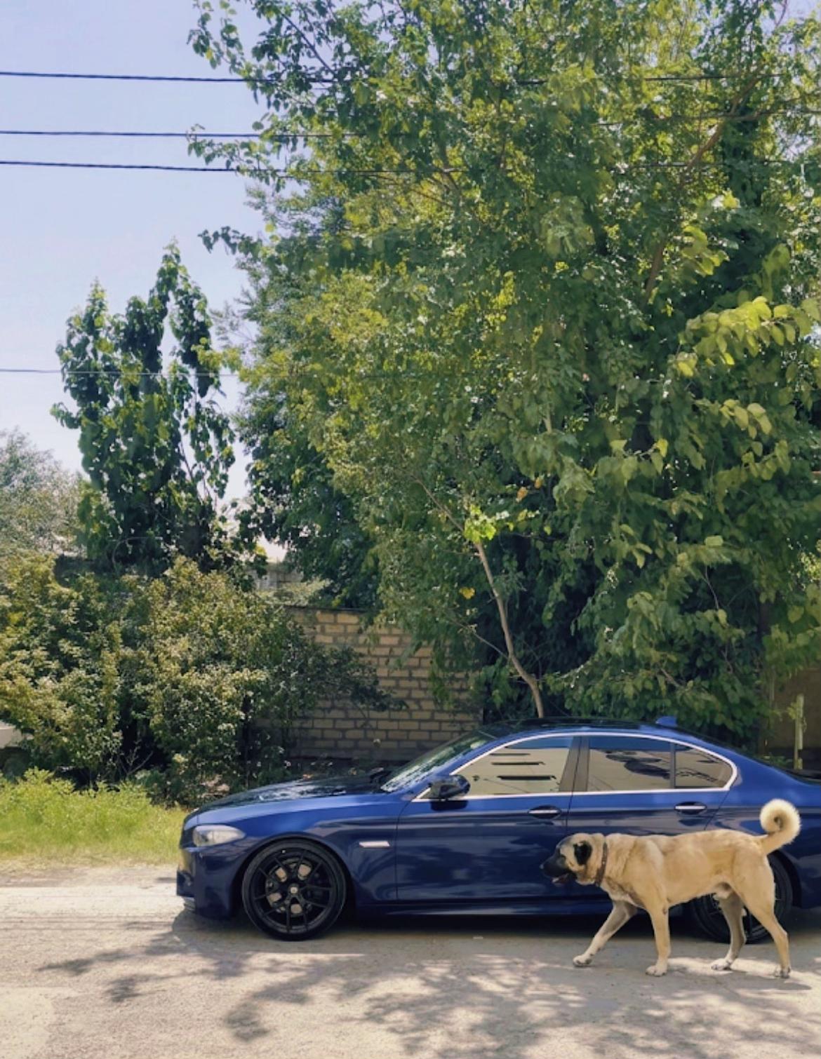 @𝓃𝒶𝓉𝒾𝓆