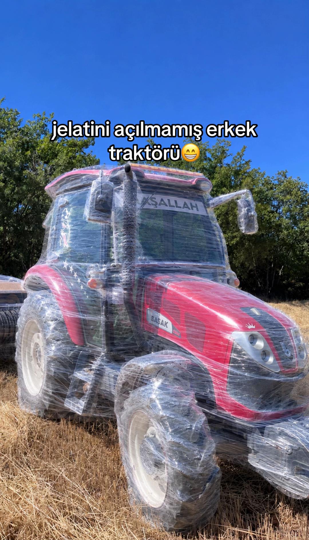 @ลABAN KOLTKA