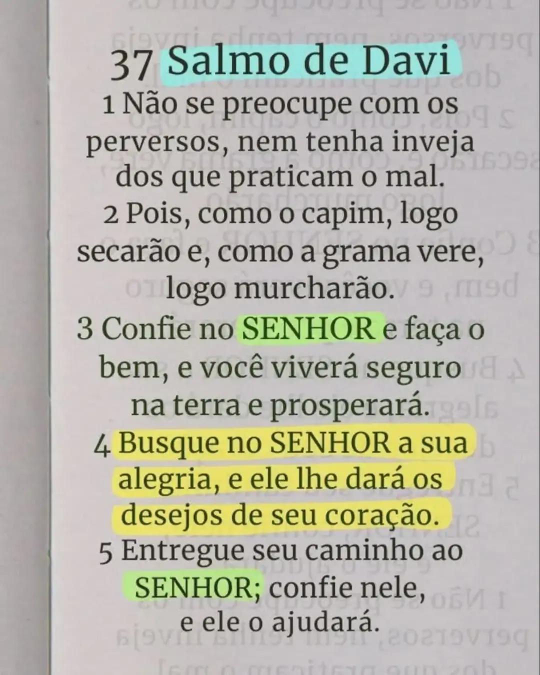 @Jorgefer1632