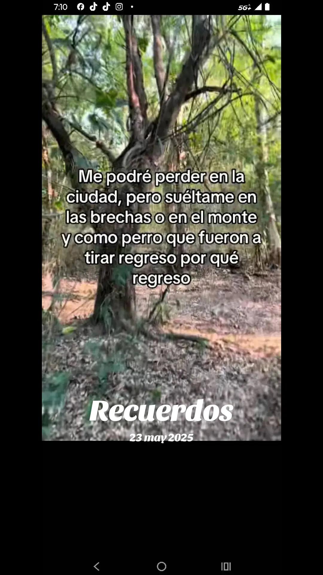 @chavalon93 101012