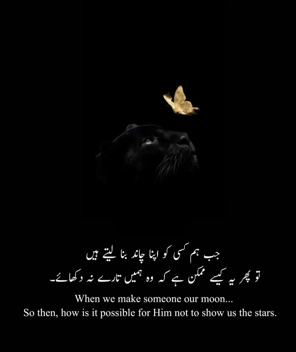 @سیٹھ زین الحسن