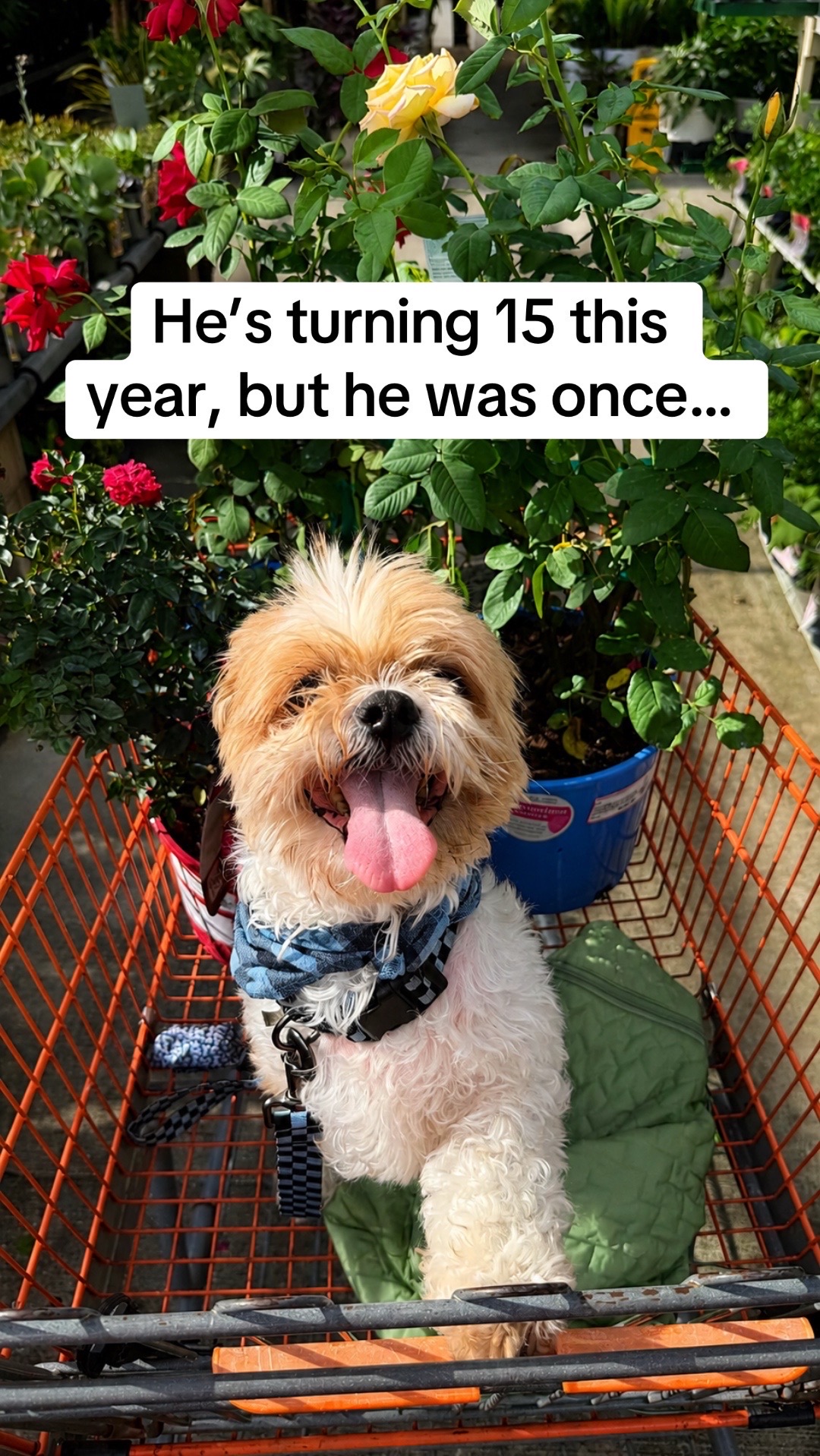 @Hope Ennis