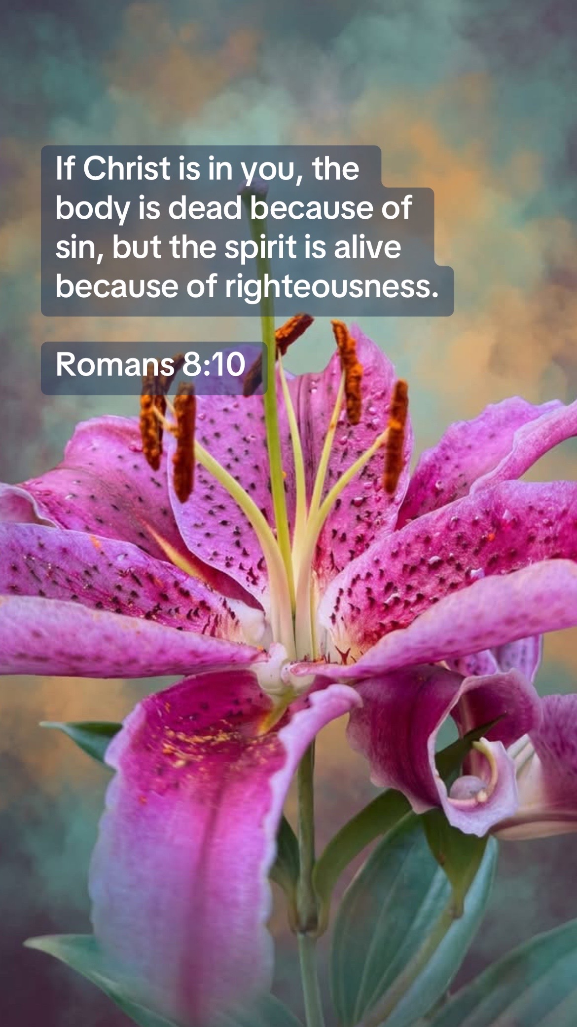 @forgiven_disciple
