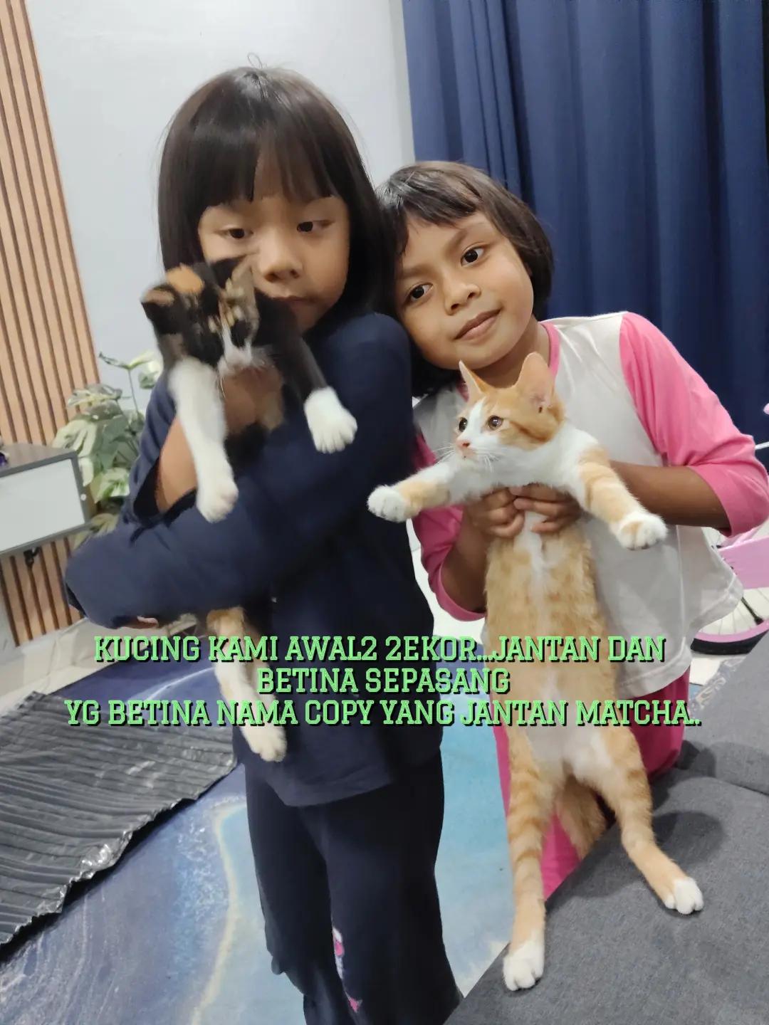 @AKIM AZMI