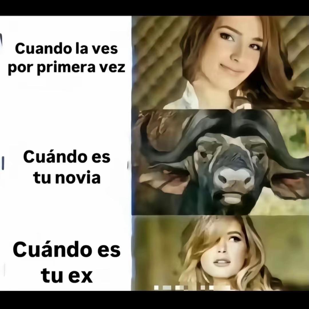 @asteriaaa.___