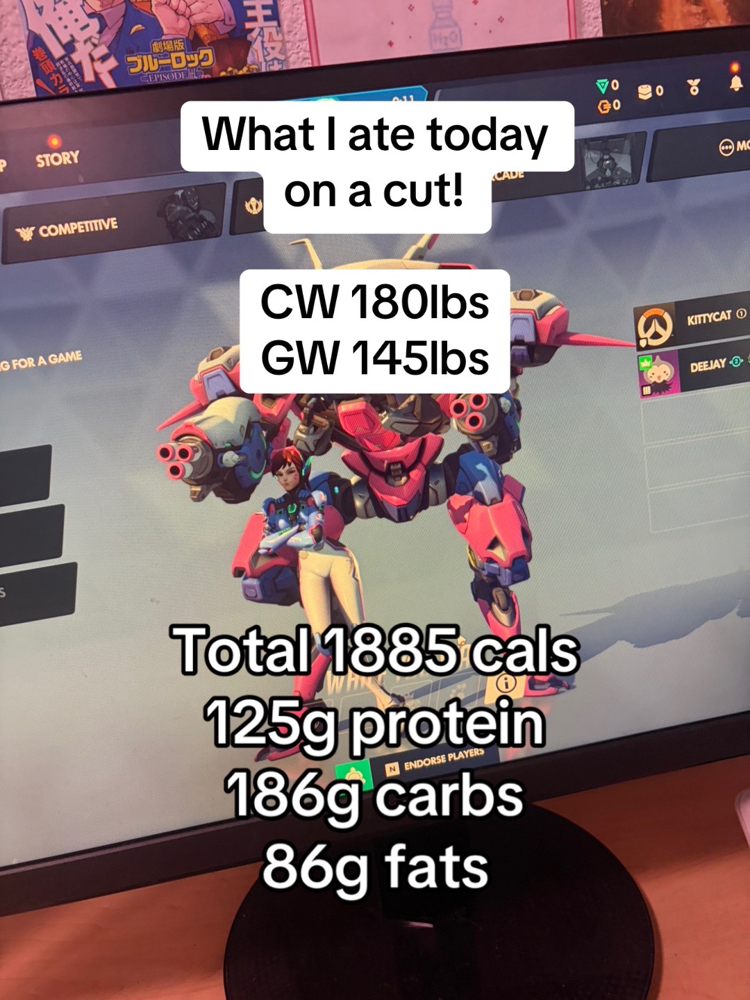 @Cat 🇧🇷