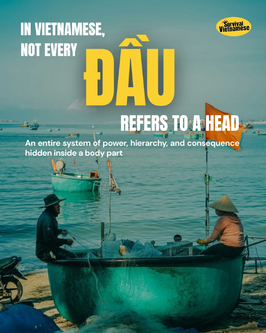 @survival.vietnamese