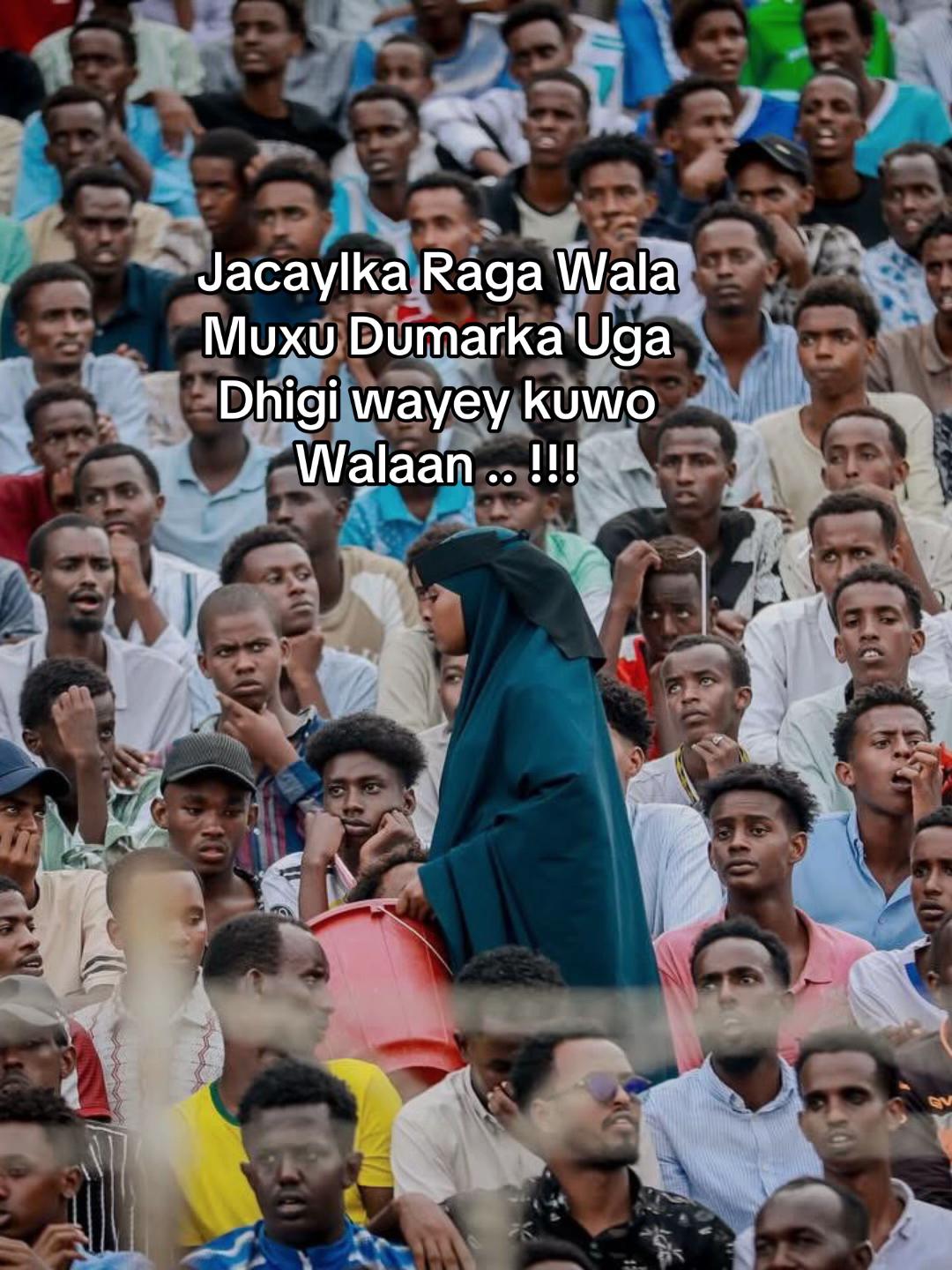 @️Hachim