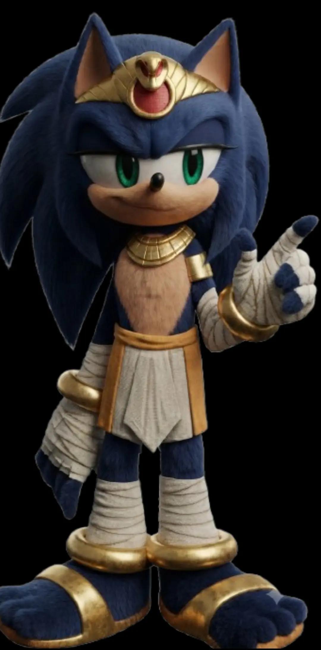 @King Rebel Sonic Hedgehog