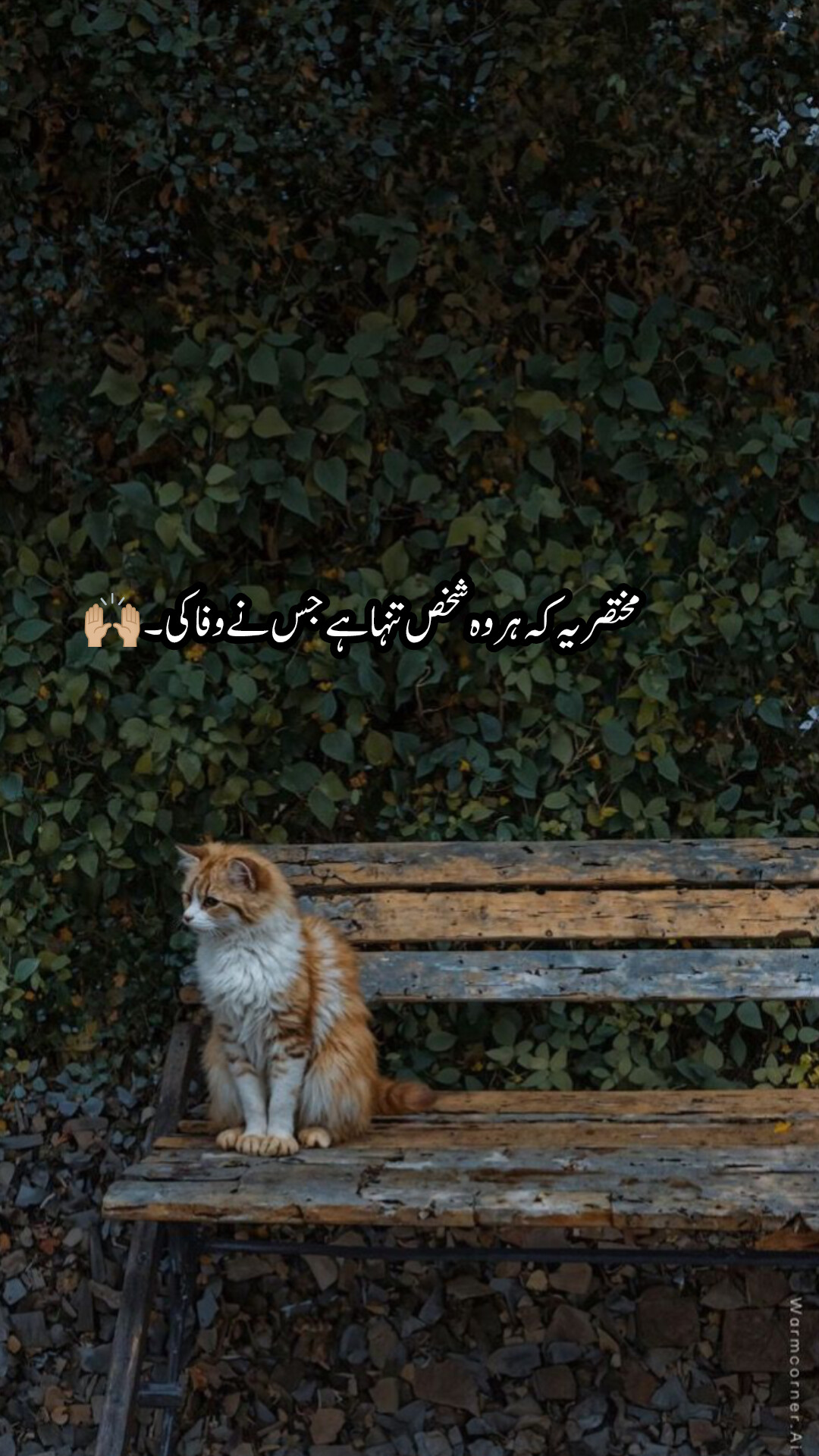 @محمٌَد 🚩