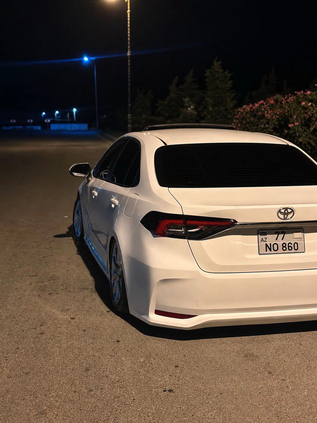 @Elsen_439