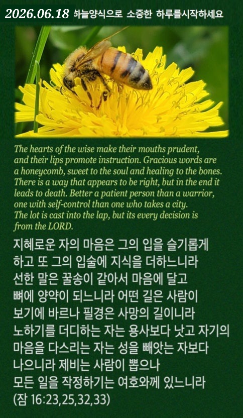 @피켓전도 김종일 목사