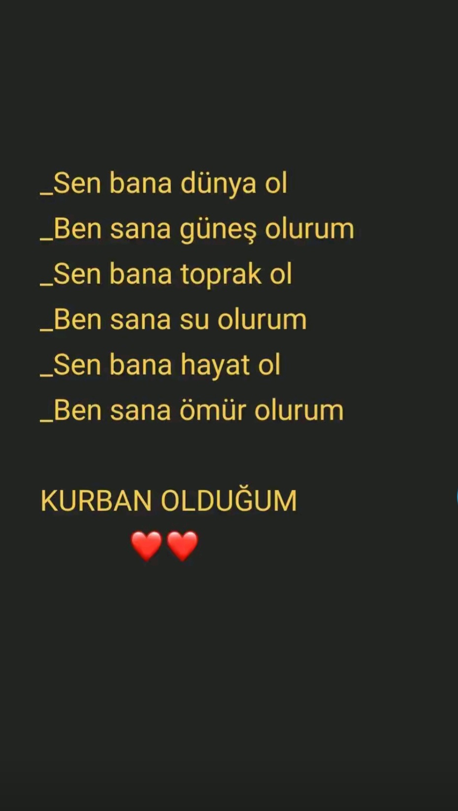 @sibel_ramoo_aski