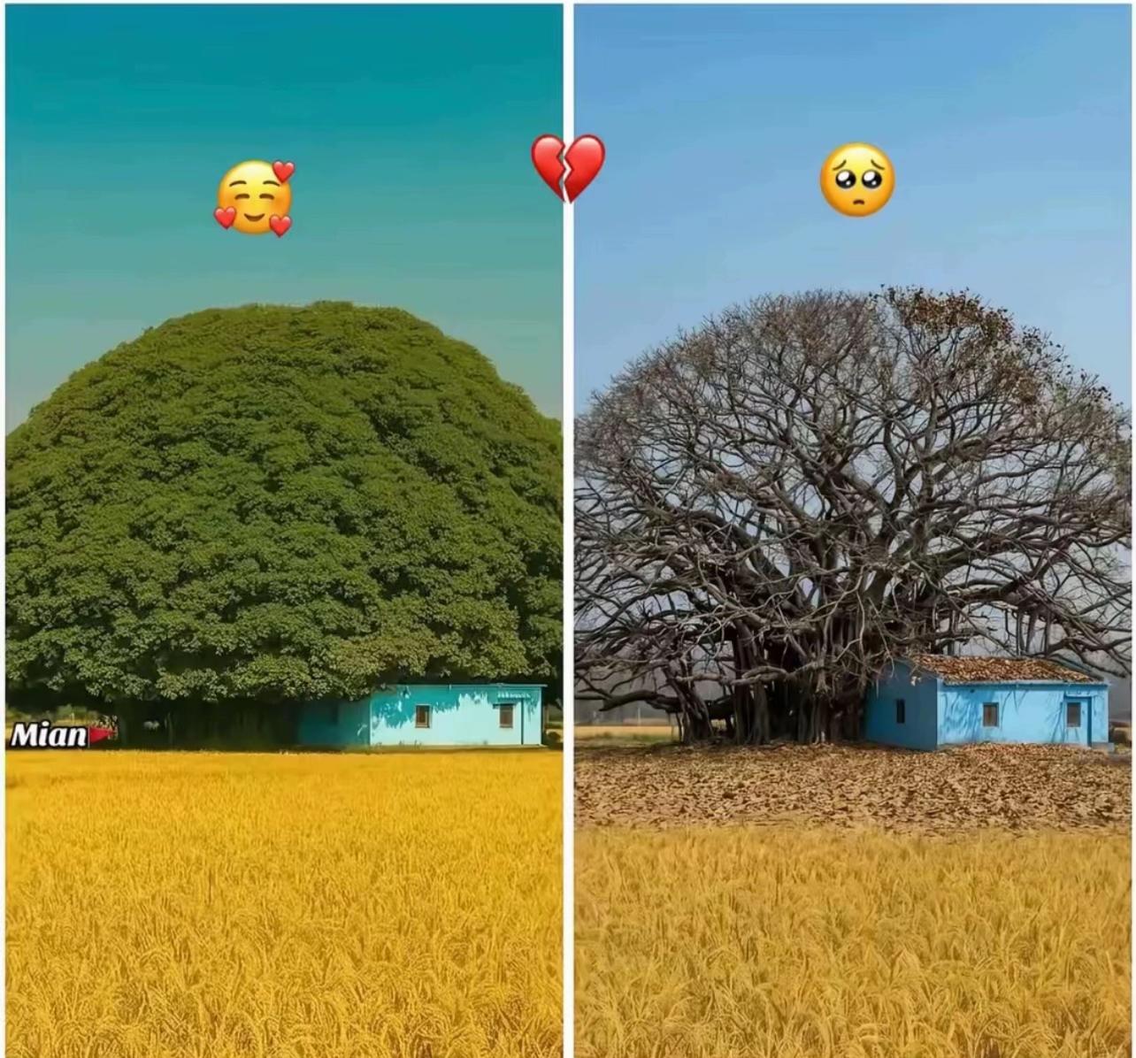 @sohailmehar🇰🇷🇵🇰