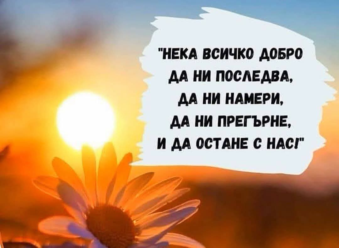 @Ивелина Недкова