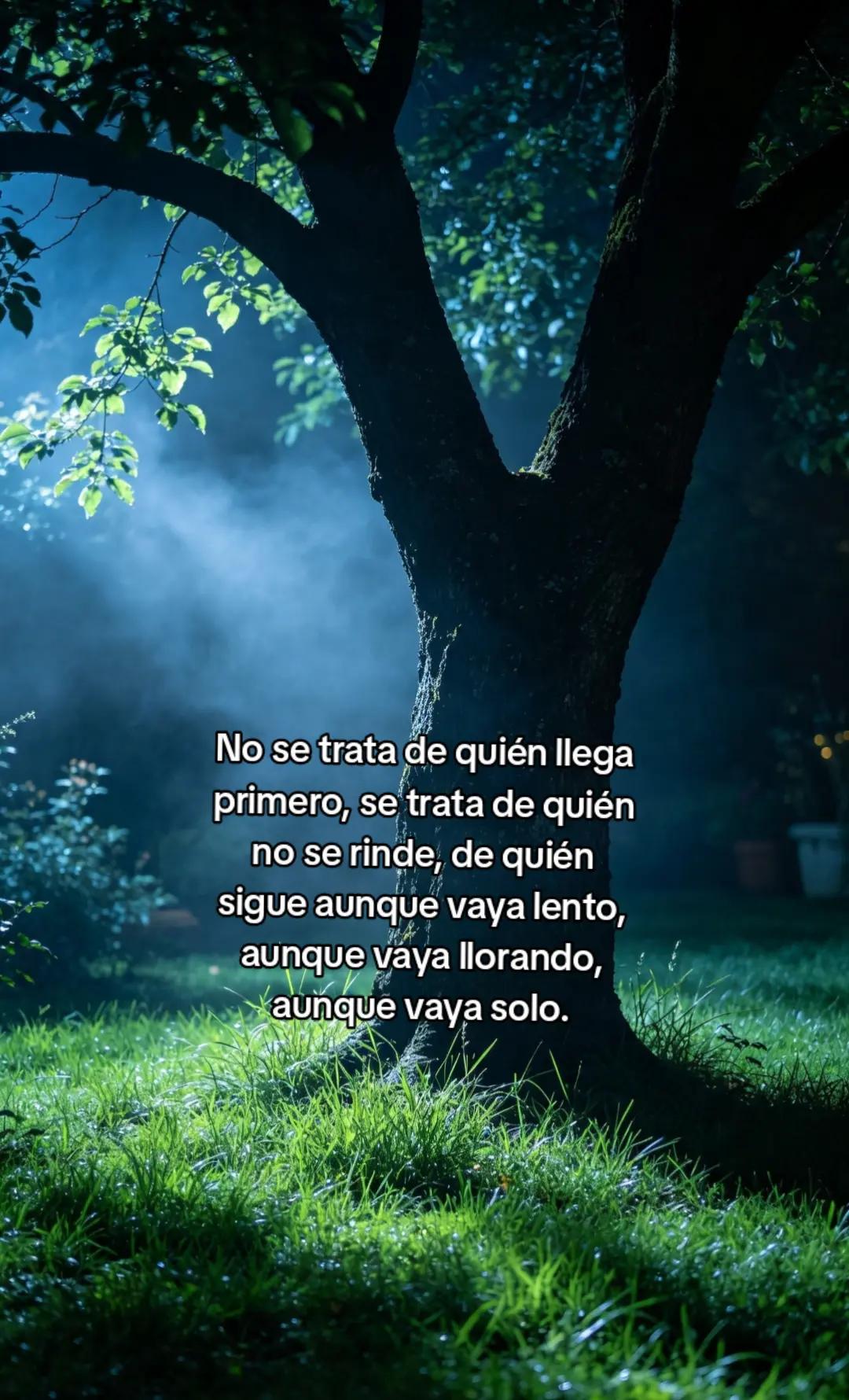 @Jose Antonio