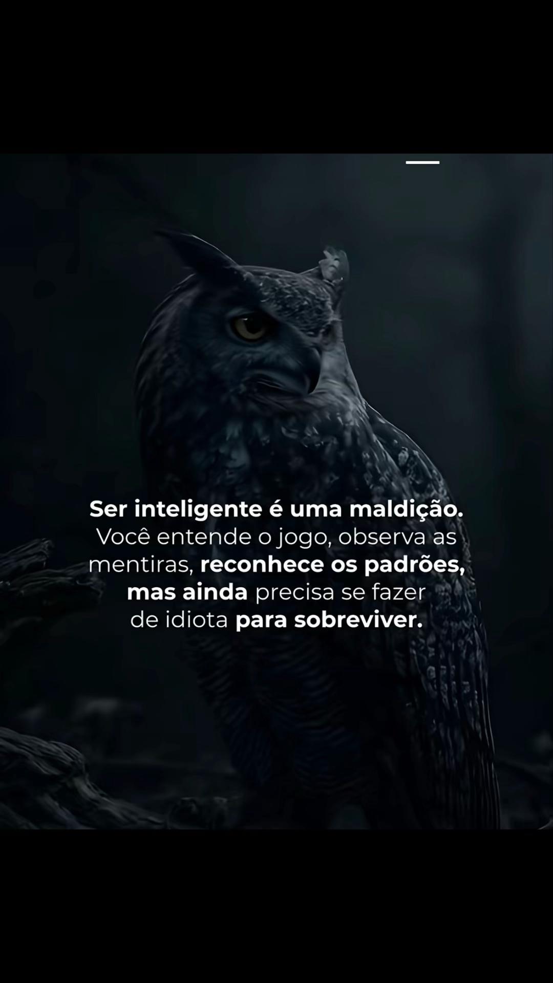 @Alemao Mazur