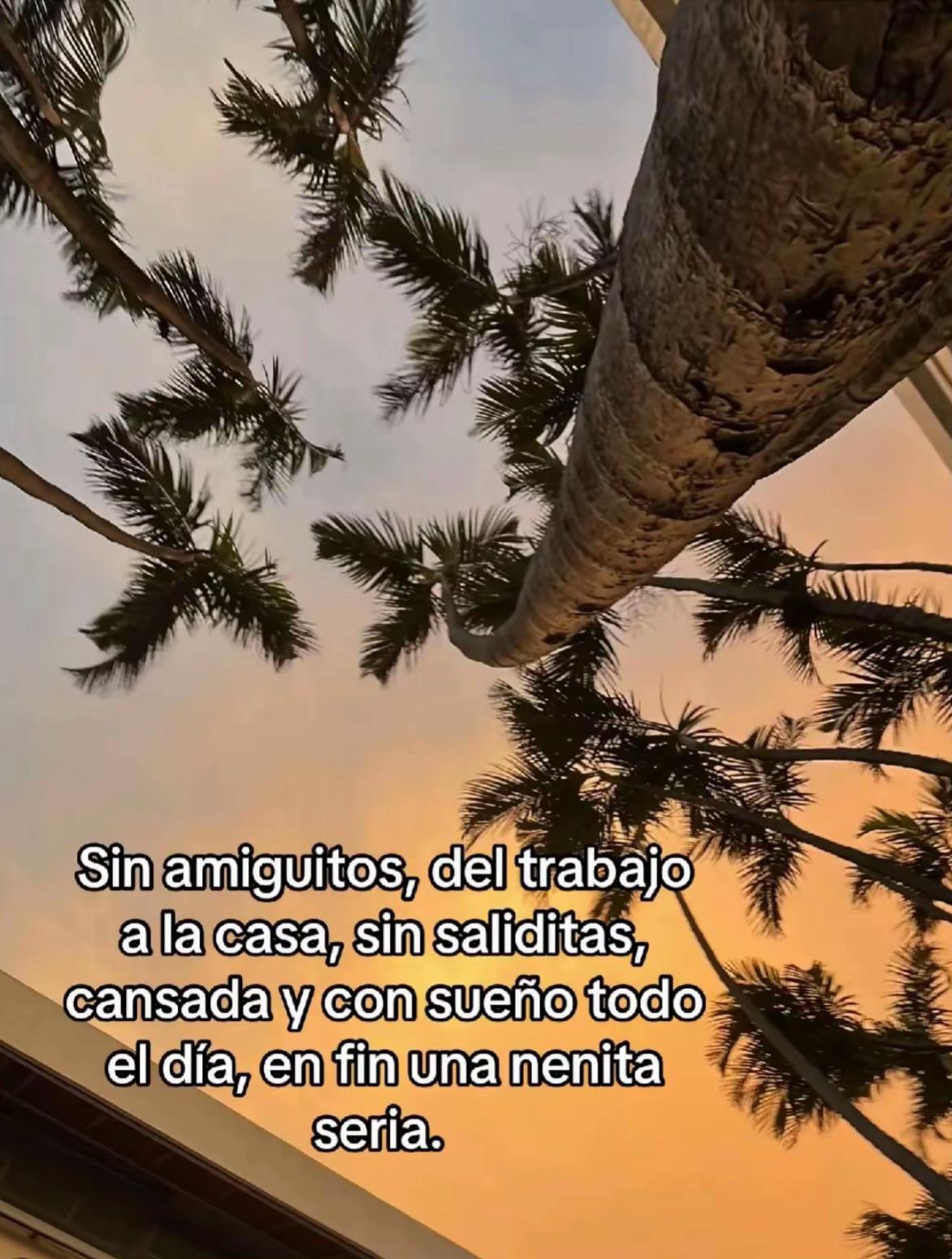 @Yami Arreaga🥝