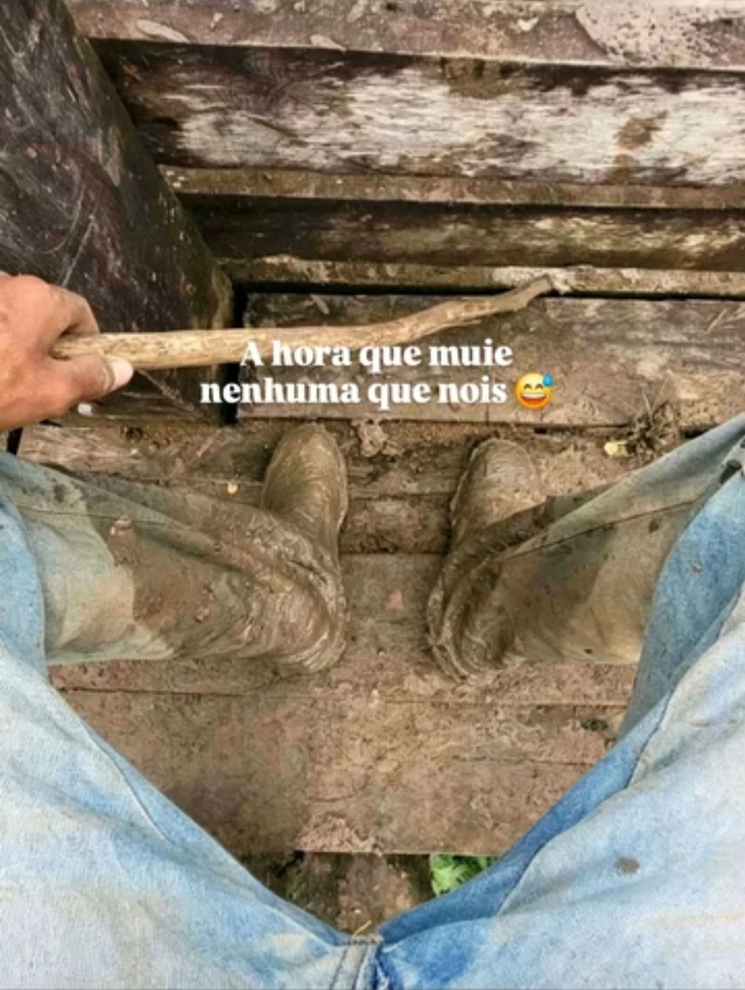 @pecu&aacute;ria mod&atilde;o caipira