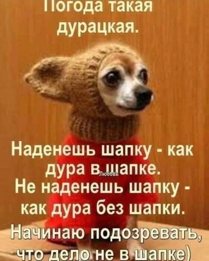 @VREDINKA😜