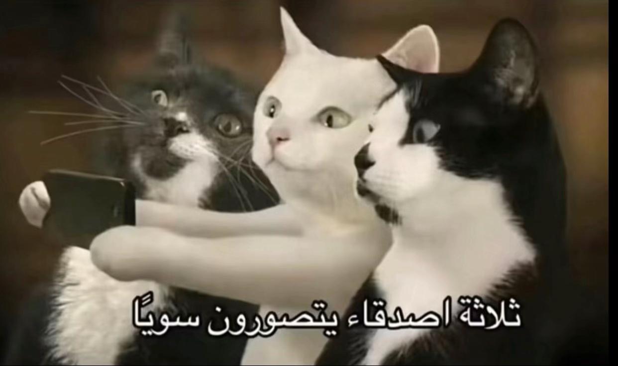 @تركي مرزوق الله يرزقه