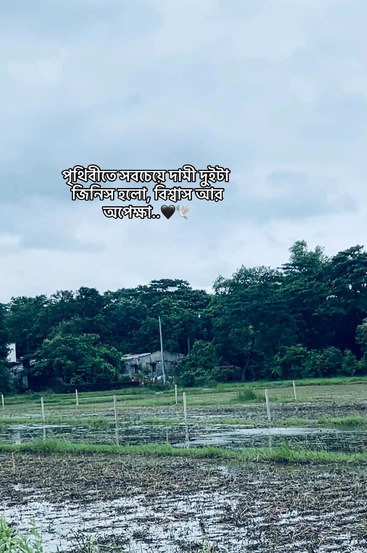 @._𝐌𝐞ꫝ𝐞𝐝𝐢._✨🙋♂️