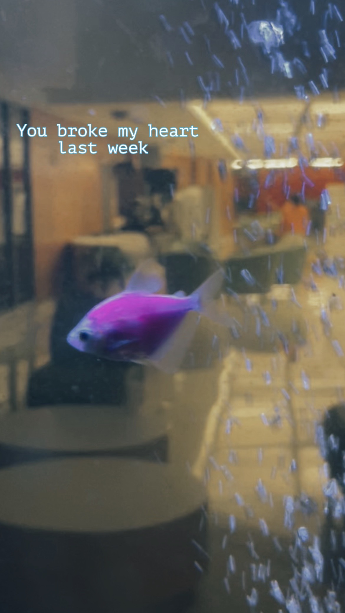@𝔾𝕙𝕠𝕤𝕥𝕘𝕚𝕣𝕝_𝟚𝟘𝟙𝟟𝕩