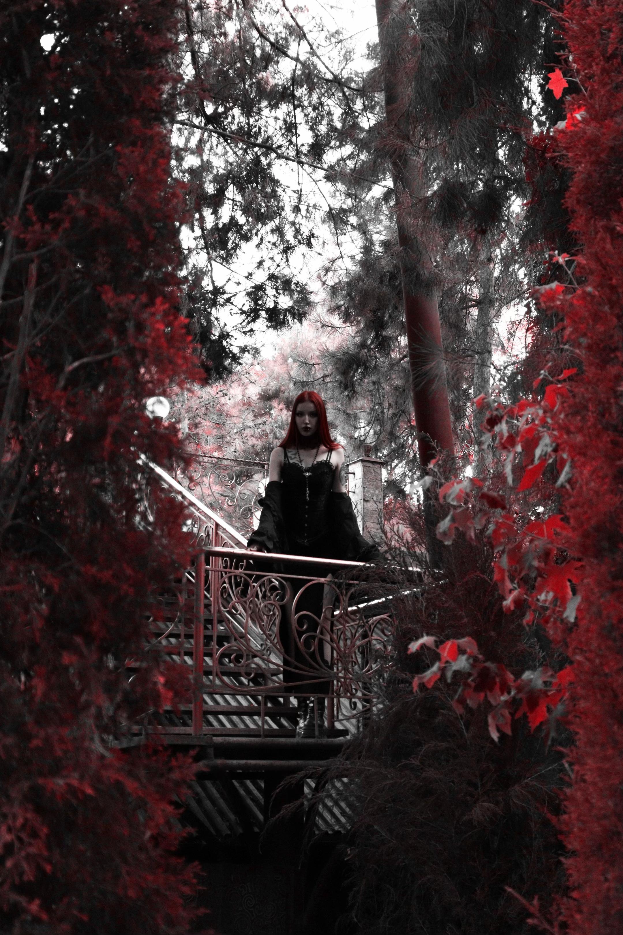 @༻ 𝒦𝒶𝓇𝒾𝓃𝒶 ༺
