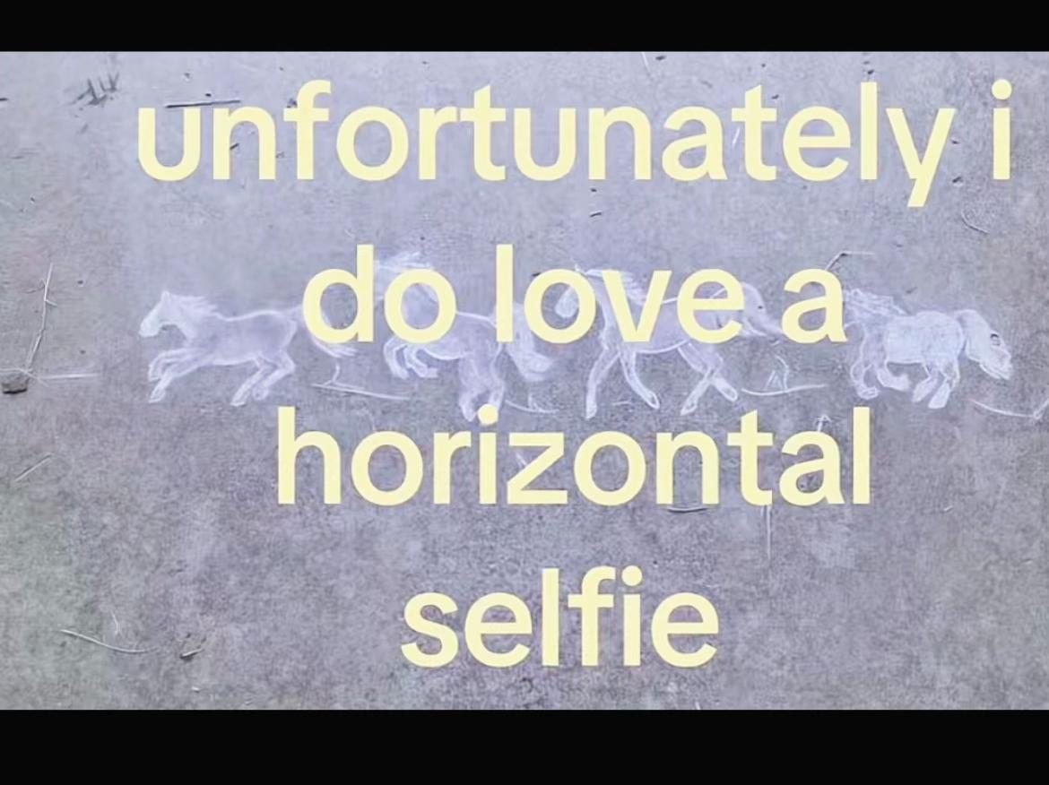 @meow