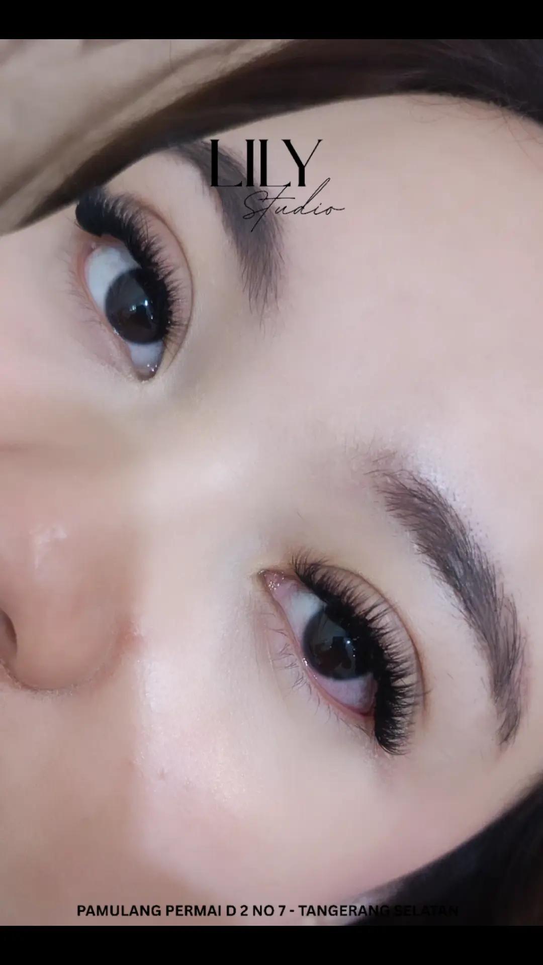 @lilystudio