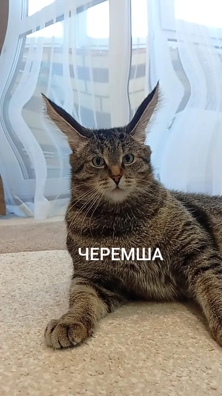 @ваня пакаё