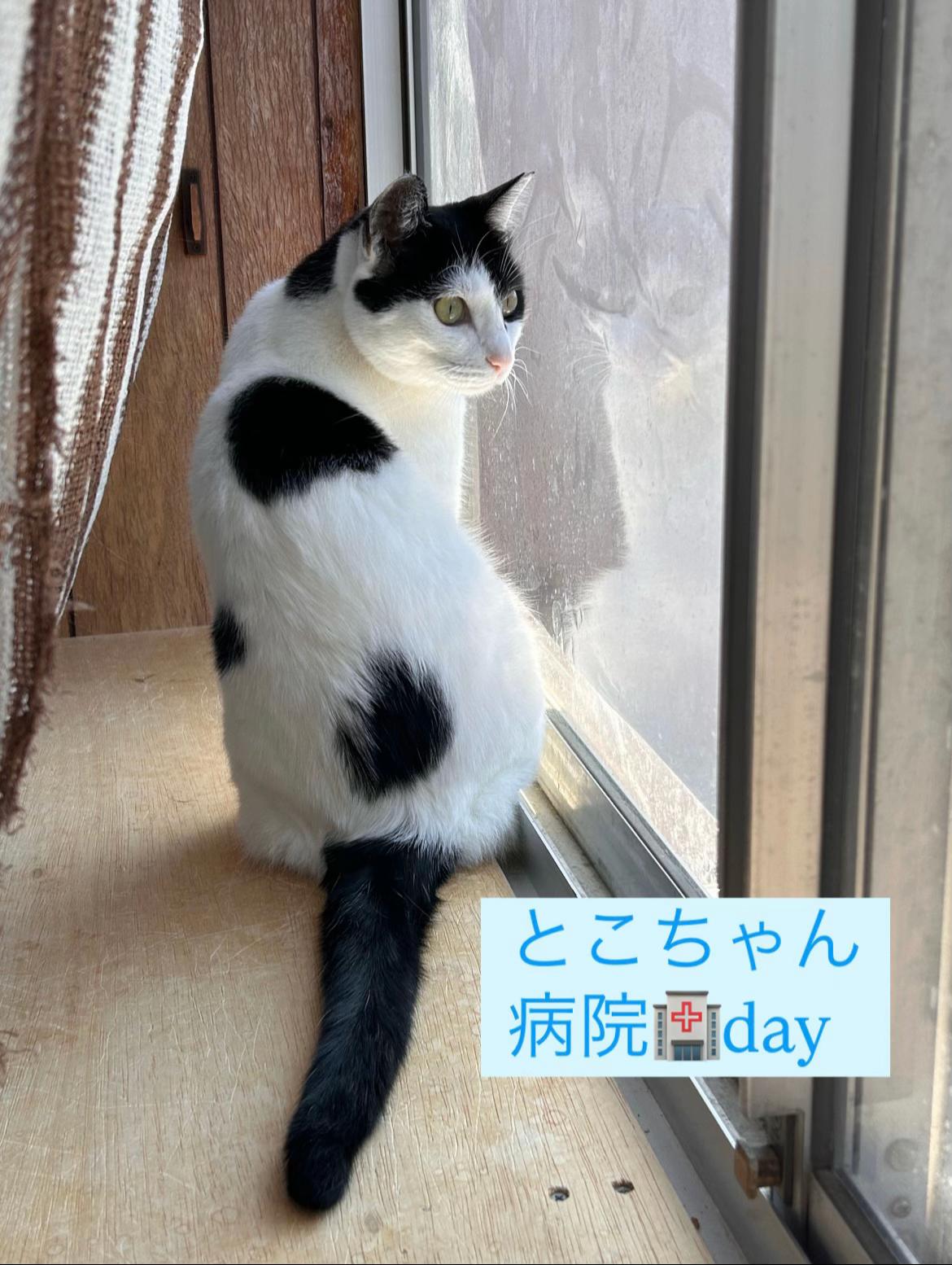 @らっくら家