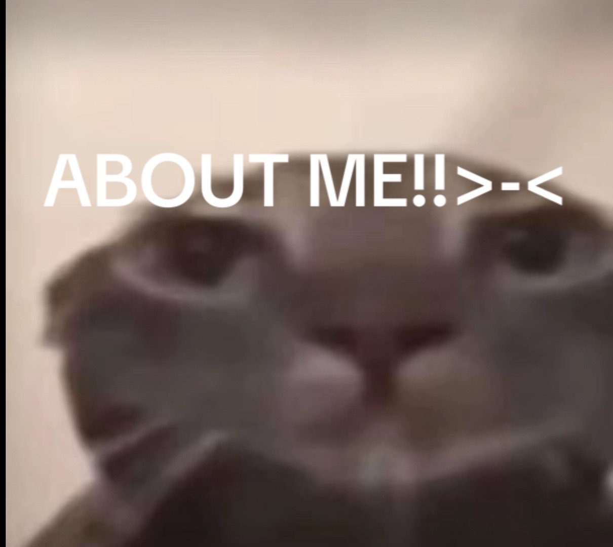 @ℒ𝓊𝓃𝒶𝓇♍︎