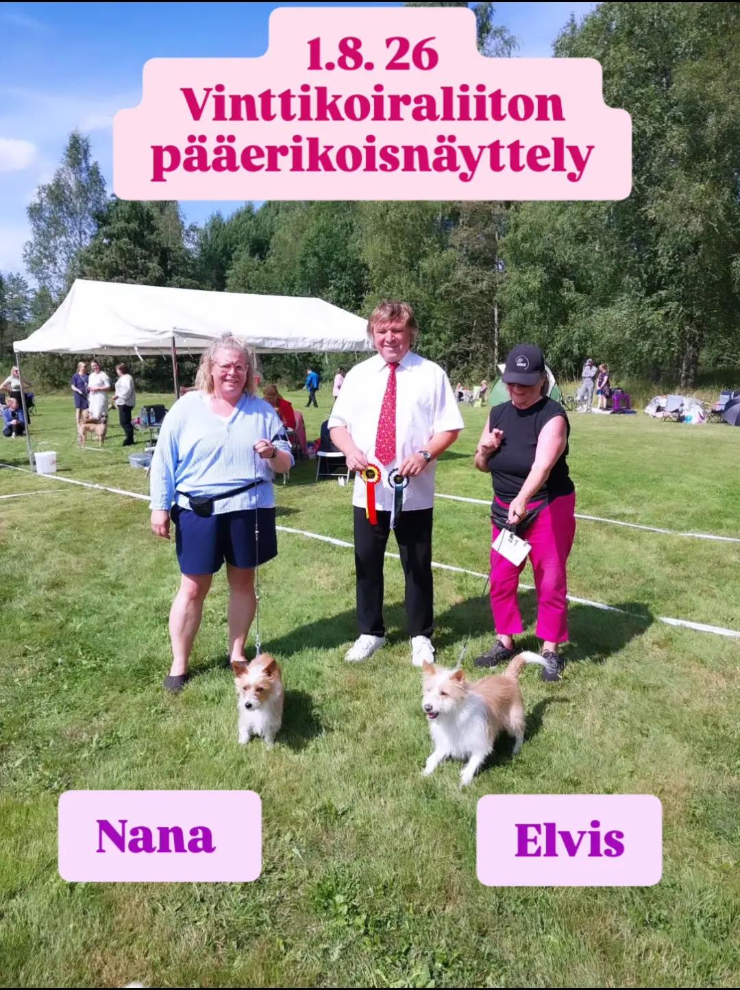@Erja
