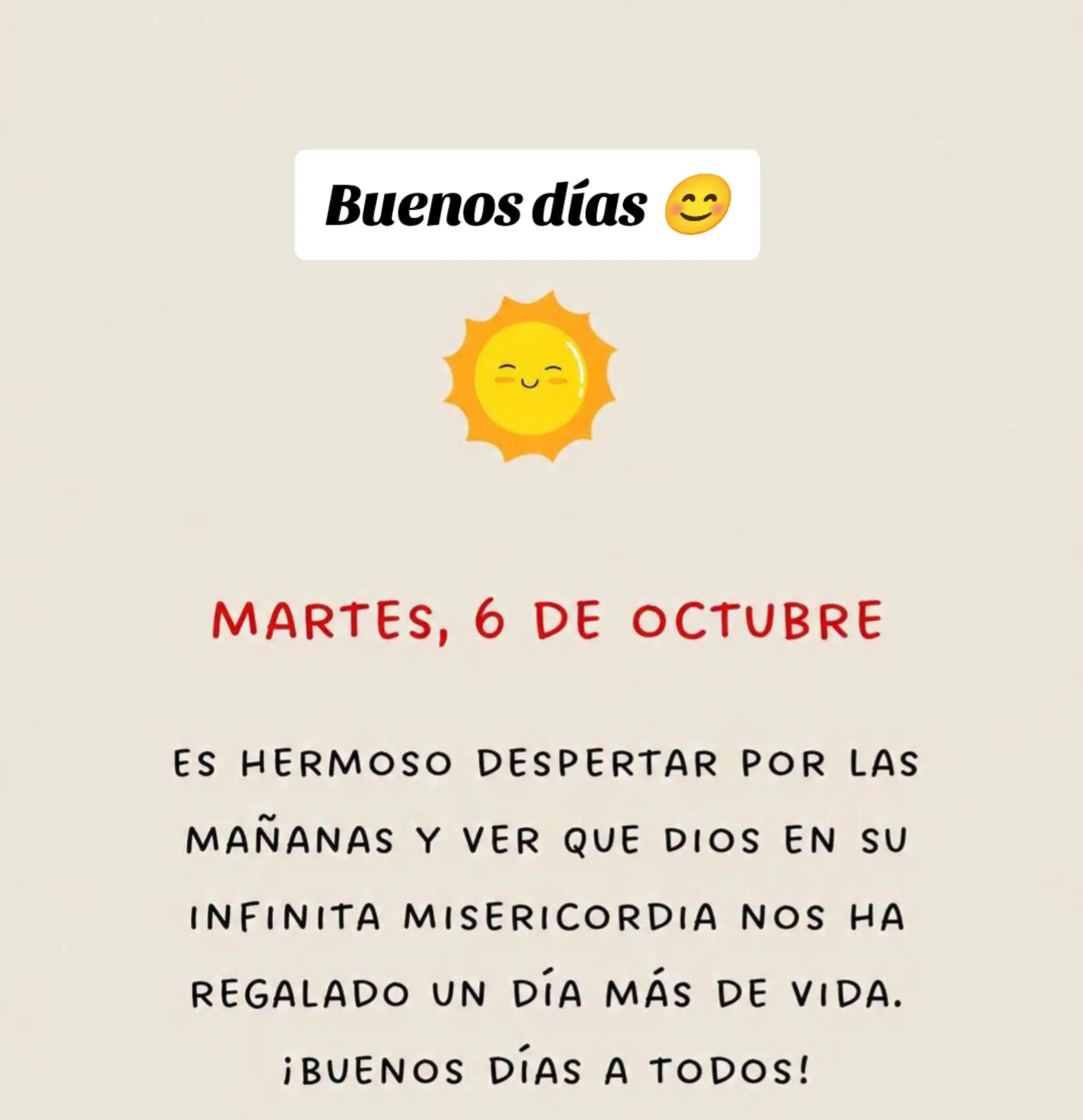 @alileiva ✨🌺🫀🧠🥂
