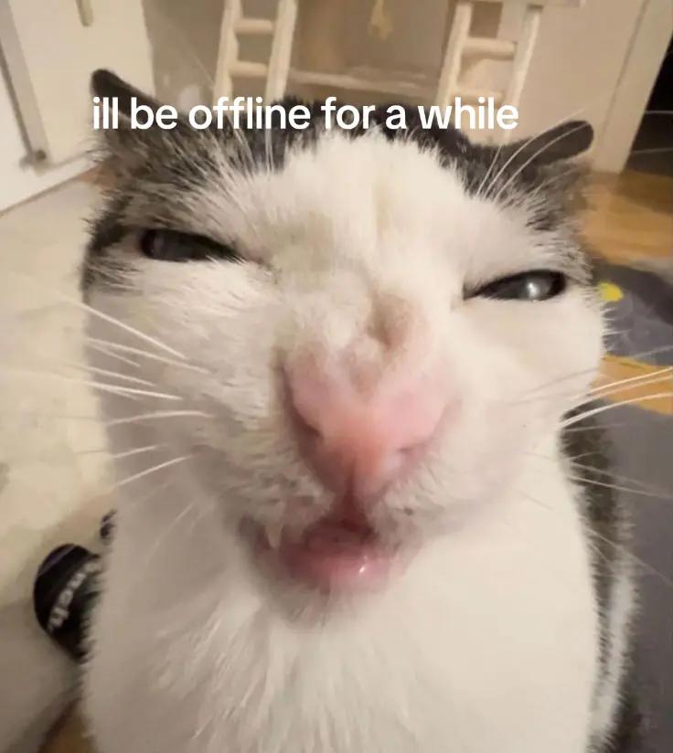 @Catgaga